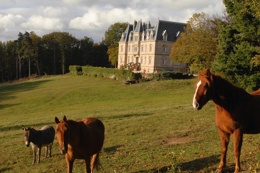 Готель Chateau Des Faugs Boffres Екстер'єр фото